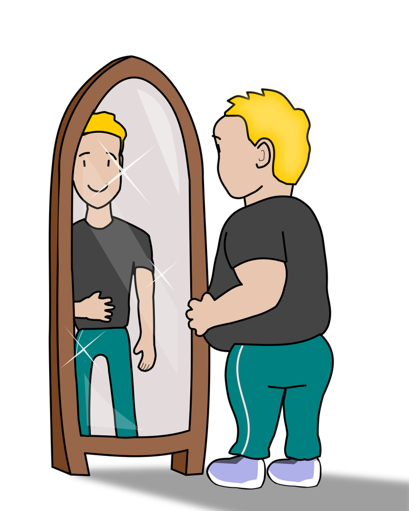 pinterastudio-obesity-4027714_1920